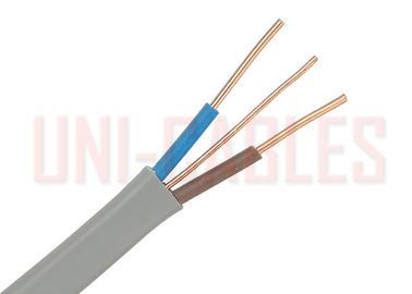Chine Câble blindé en acier galvanisé par gris, câble flexible blindé industriel domestique fournisseur